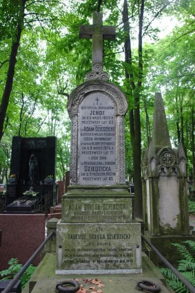 Zdjęcie grobu Tadeusz Dołęga Dziedzicki (2)