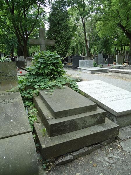 Zdjęcie grobu Kazimierz Jokisz (2)
