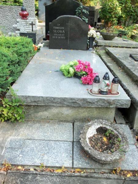 Zdjęcie grobu: Franciszek Słoka