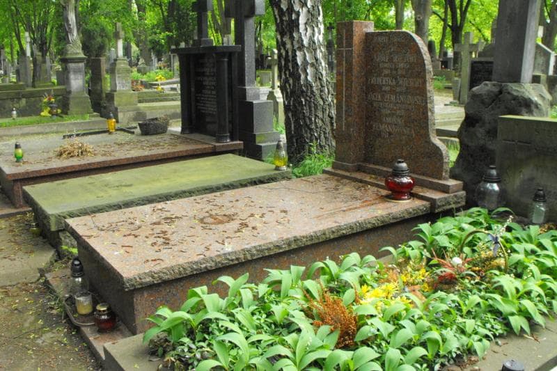 Zdjęcie grobu Antonina Żemantowska (1)