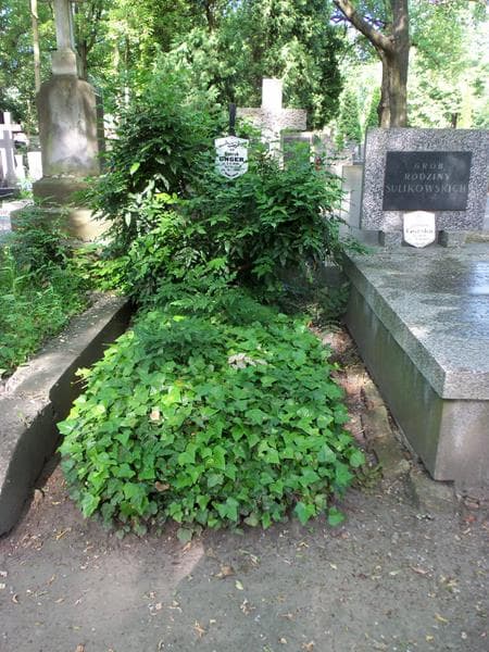 Zdjęcie grobu: Henryk Unger