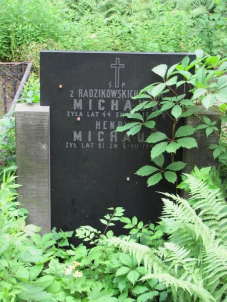 Zdjęcie grobu Henryk Michaux (1)