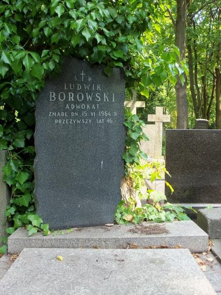 Zdjęcie grobu Ludwik Borowski (2)