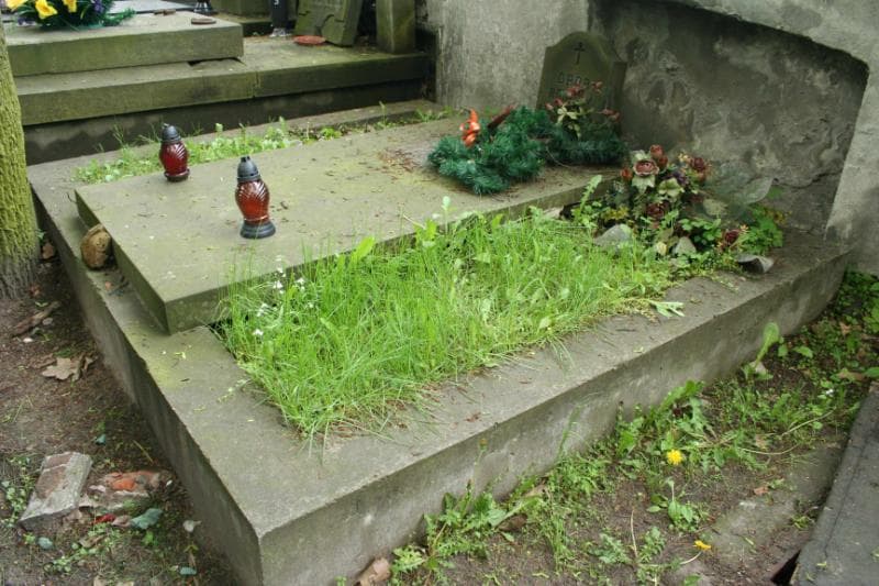 Zdjęcie grobu: Dzięgielewscy