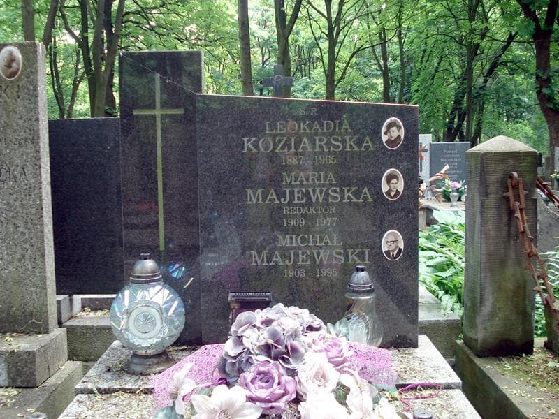 Zdjęcie grobu Michał Majewski (1)