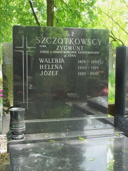 Zdjęcie grobu Zygmunt Szczotkowski (2)