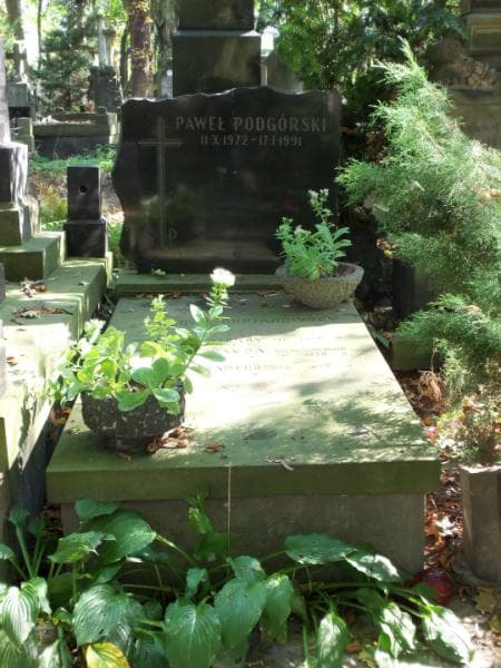 Zdjęcie grobu: Wanda Chrzanowska