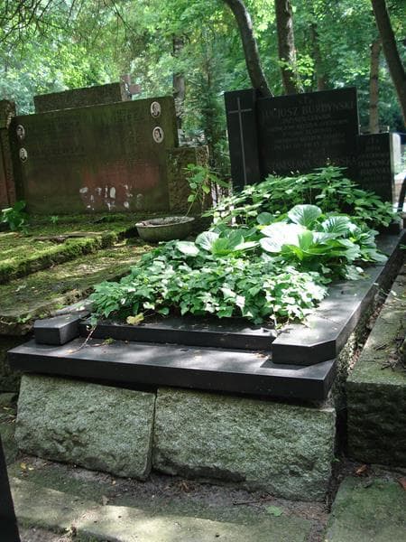 Zdjęcie grobu: Lucjusz Burdyński