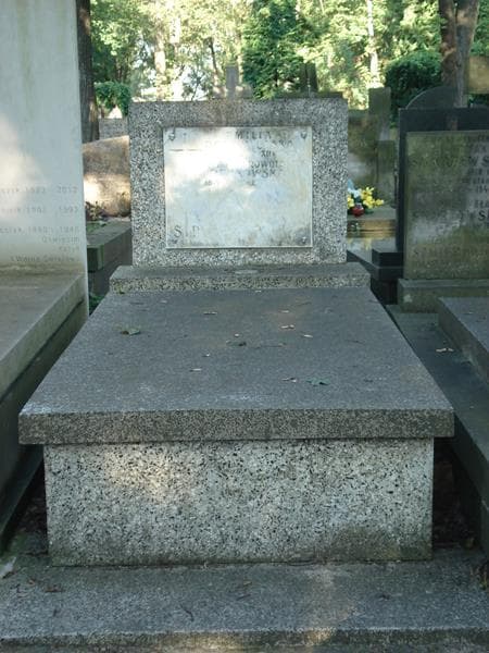 Zdjęcie grobu: Janina Perkowska