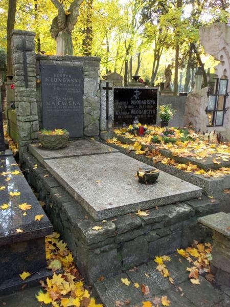 Zdjęcie grobu Stanisława Majewska (1)