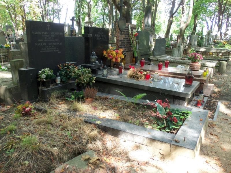 Zdjęcie grobu Wawrzyniec Siemiński (1)