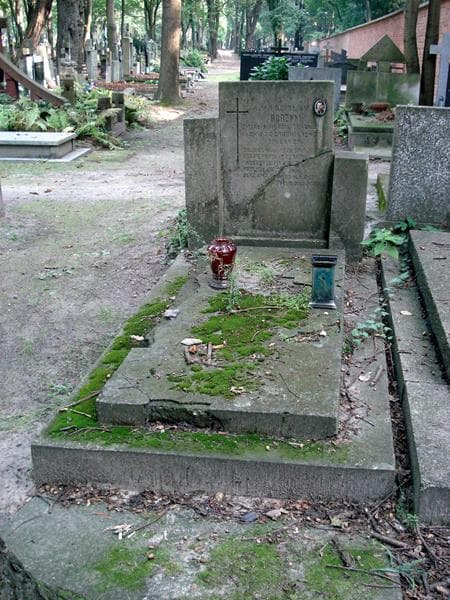 Zdjęcie grobu Władysław Borzym (1)