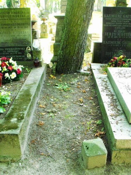 Zdjęcie grobu: Pole Grobowe