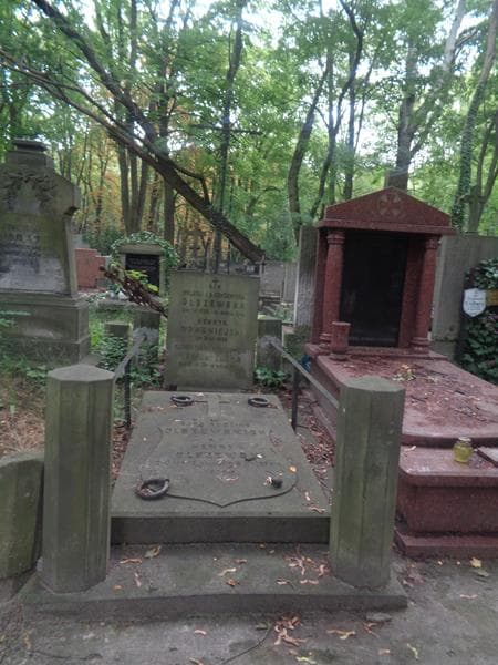 Zdjęcie grobu Henryk Olszewski (1)