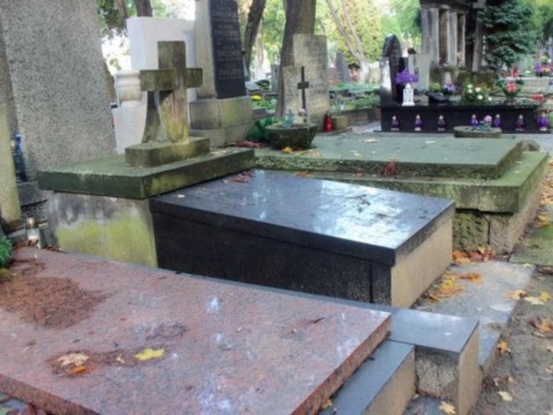 Zdjęcie grobu Janina Cylc (1)