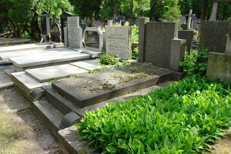 Zdjęcie grobu: Władysław Onoszkowicz - Jacyna