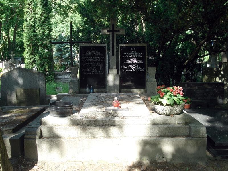 Zdjęcie grobu: Józef Lewandowski