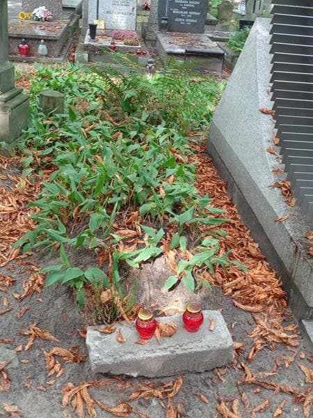 Zdjęcie grobu Anonim (1)