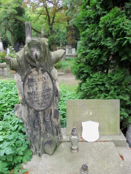 Zdjęcie grobu Henryk Buksicki (2)