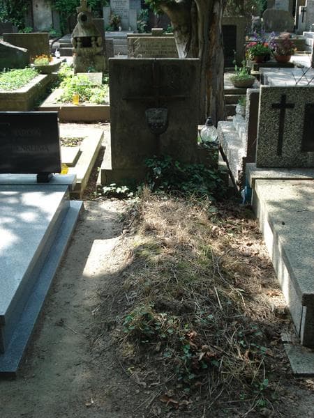 Zdjęcie grobu: Mirosława Balukiewicz