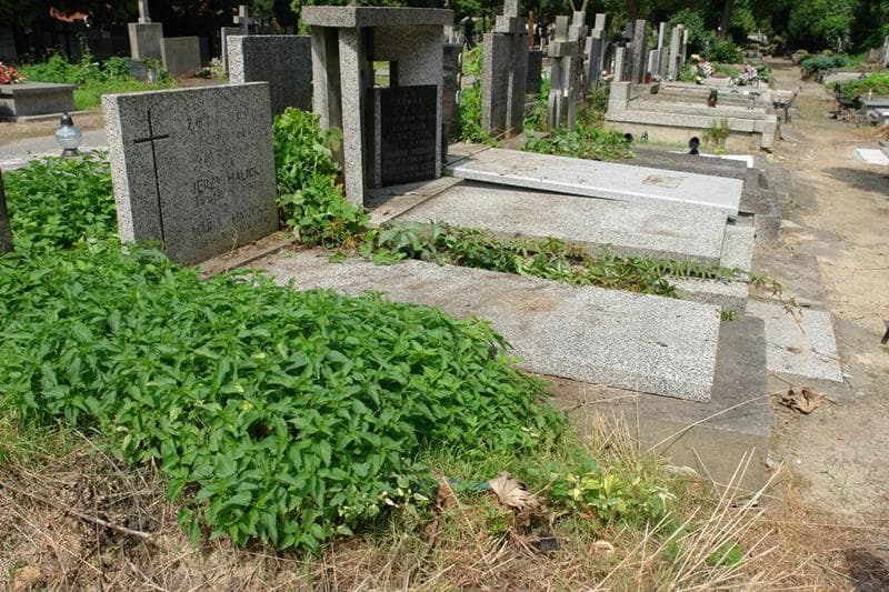 Zdjęcie grobu: Jerzy Halicki