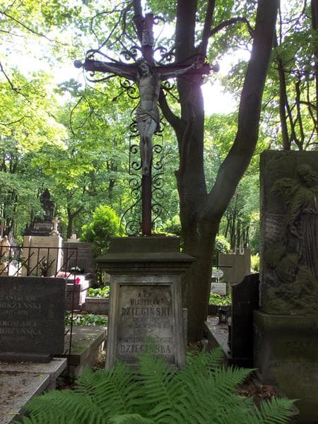 Zdjęcie grobu Władysław Dziegiński (2)