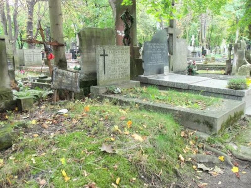 Zdjęcie grobu Tadeusz Bożydar-Podhorodeński (1)