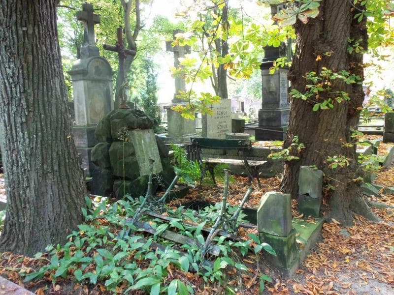 Zdjęcie grobu Karol Woźniakowski (1)
