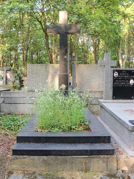 Zdjęcie grobu: Stanisław Peszyński