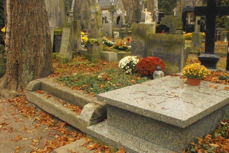 Zdjęcie grobu Piotr Damrosch (1)