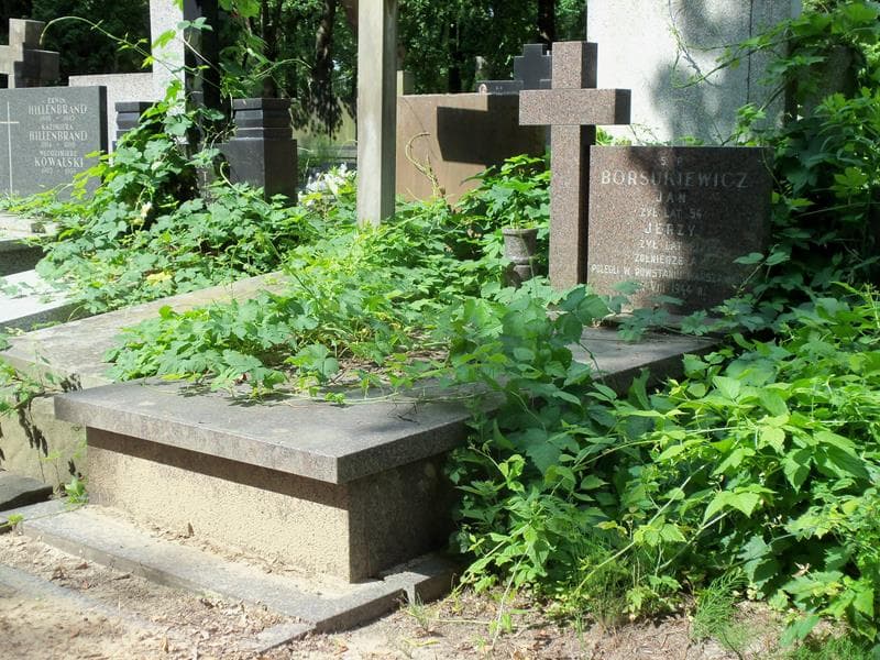 Zdjęcie grobu Zygmunt Jaźwiński (1)