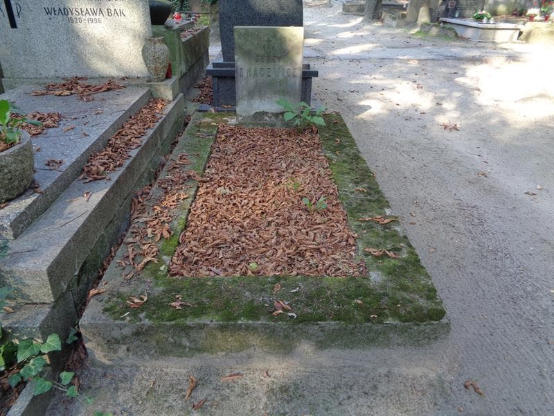 Zdjęcie grobu Jerzy Onacewicz (1)