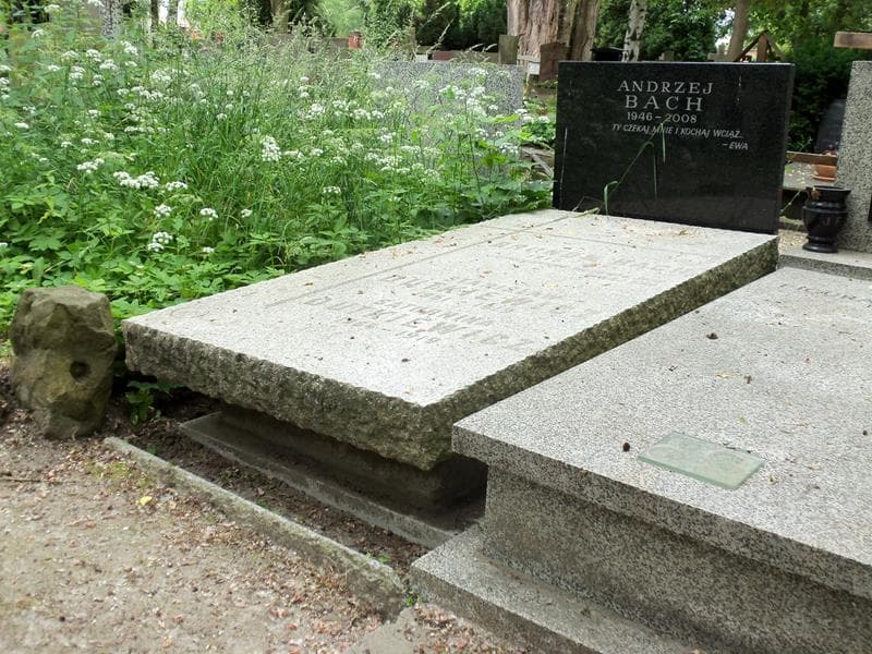 Zdjęcie grobu Andrzej Bach (1)