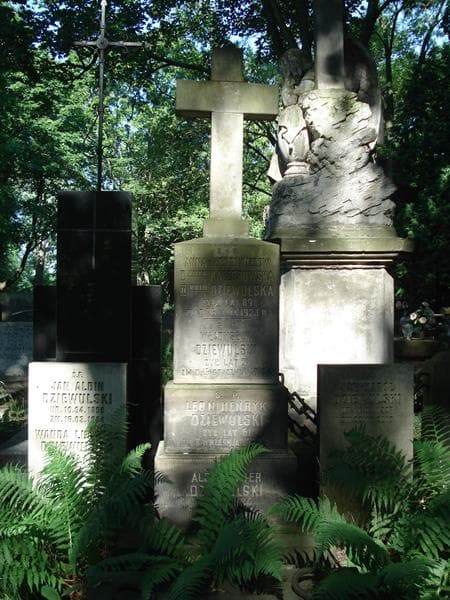 Zdjęcie grobu Jerzy Dziewulski (1)