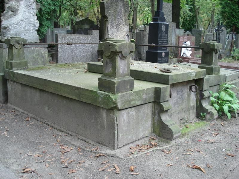 Zdjęcie grobu Henryk Mierzejewski (1)