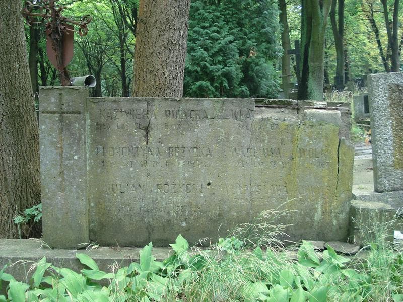 Zdjęcie grobu Wacława Woln...... (1)