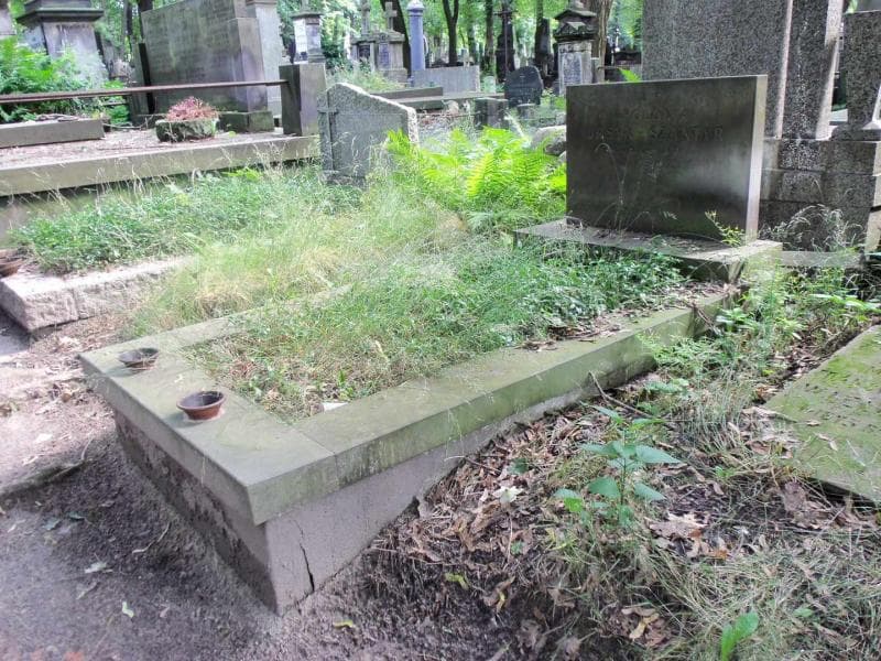 Zdjęcie grobu Apolonia Ursyn-Szantyr (1)