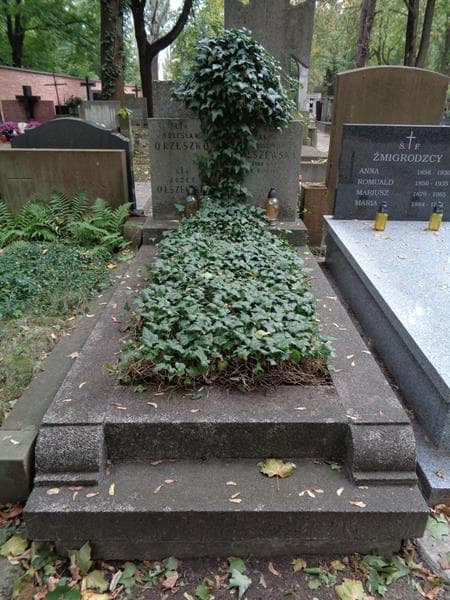 Zdjęcie grobu Józef Olszewski (1)