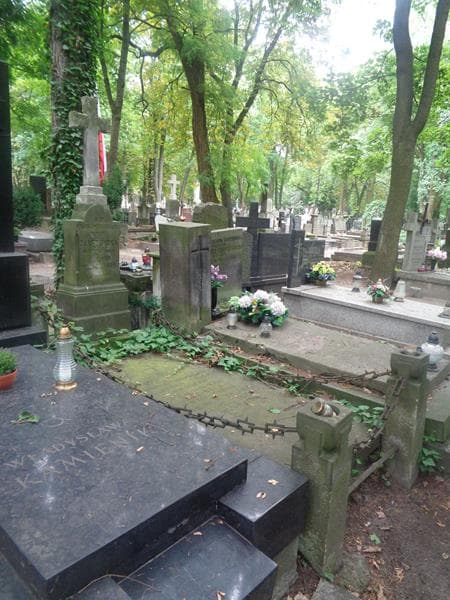 Zdjęcie grobu Stanisława Szegidewiczowa (2)