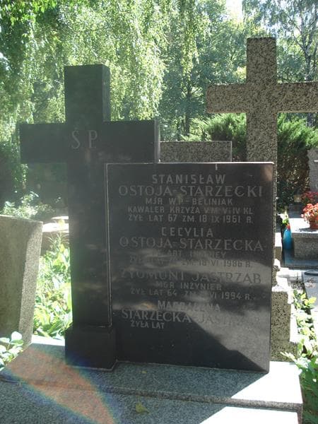 Zdjęcie grobu Zygmunt Jastrząb (2)