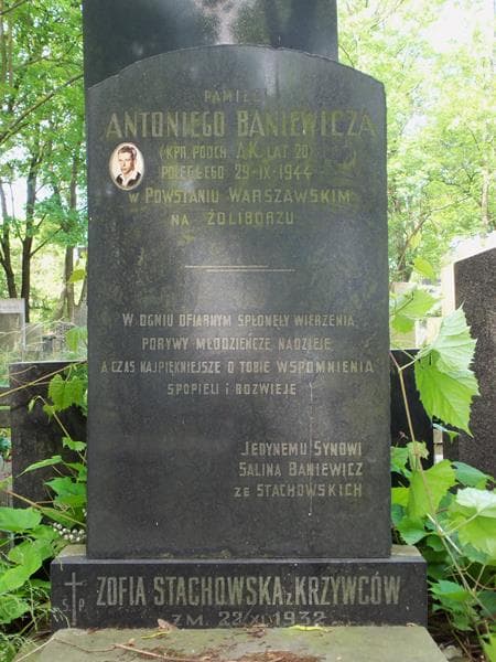 Zdjęcie grobu Antoni Baniewicz (2)