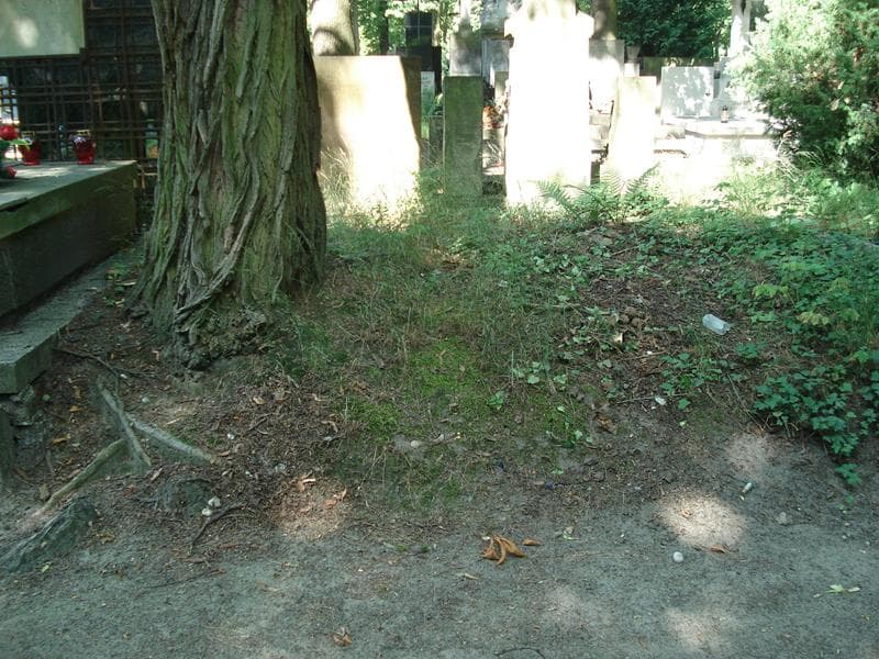 Zdjęcie grobu: Pole Grobowe