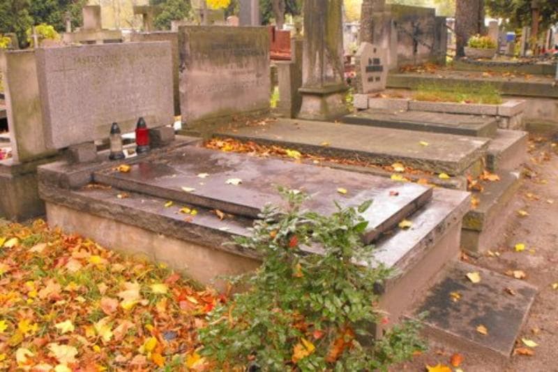 Zdjęcie grobu Janina Emilia Słomińska (1)