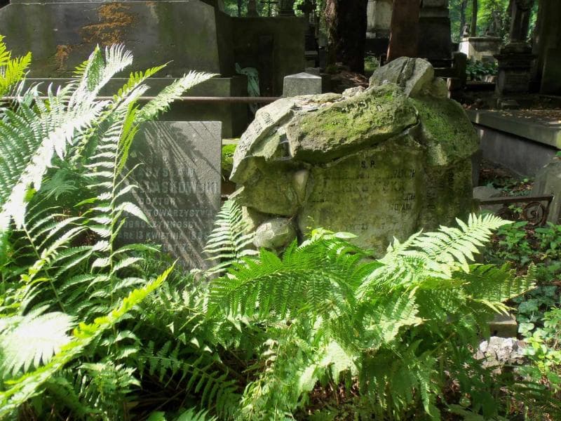 Zdjęcie grobu Bolesław Laskowski (1)