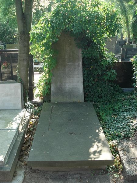 Zdjęcie grobu: Kazimierz Pelczar