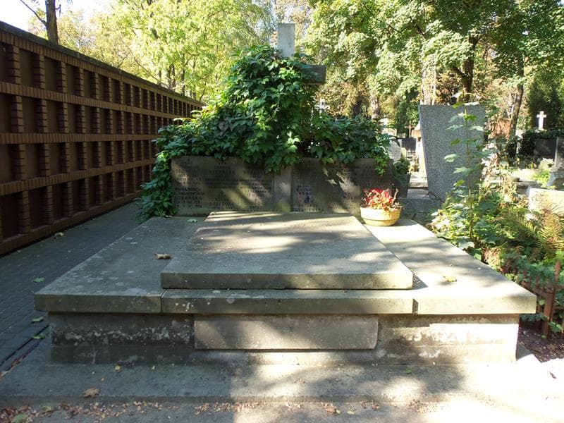 Zdjęcie grobu: Wacława Domaniewska