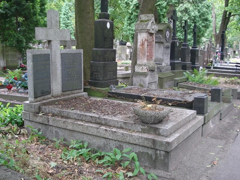 Zdjęcie grobu: Stanisław Pitek