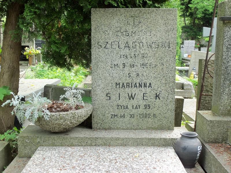 Zdjęcie grobu Zygmunt Szelągowski (2)