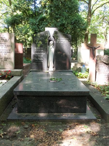 Zdjęcie grobu: Alfred Górski
