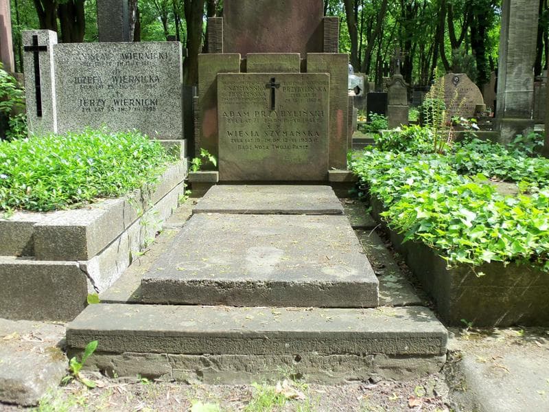 Zdjęcie grobu: Leontyna Przybylińska
